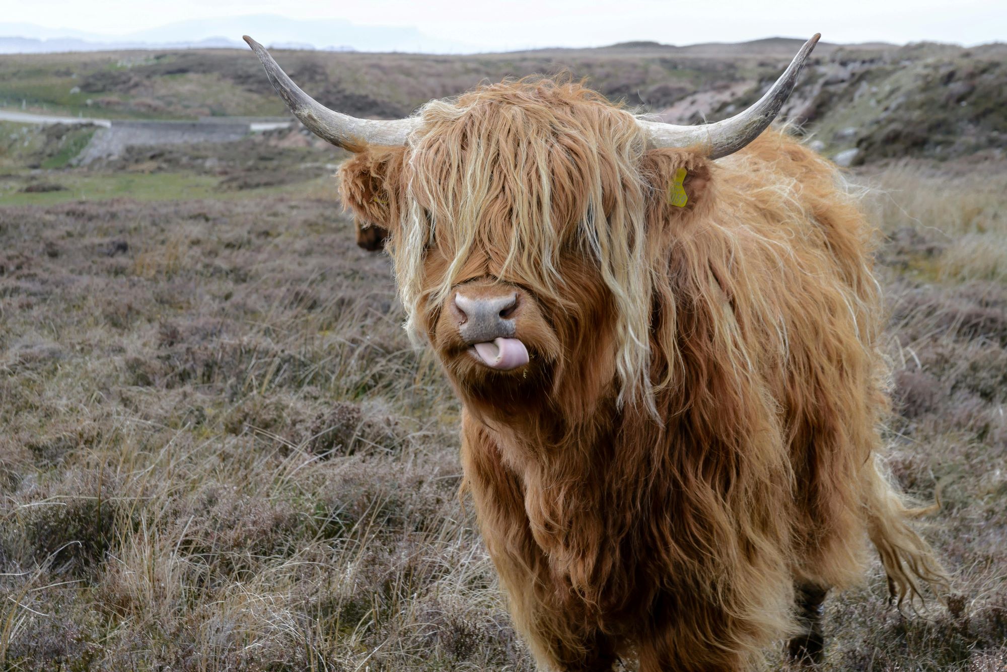 Luxuriöses Schottland-Abenteuer – Eine Reise durch Magie, Mythen und majestätische Landschaften